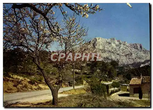 Cartes postales moderne Aix en Provence Montagne Sainte Victoire