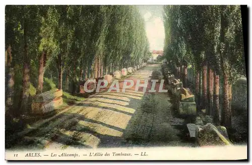 Ansichtskarte AK Arles L&#39Allee des Tombeaux Les Aliscamps