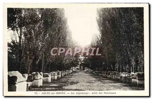 Ansichtskarte AK Arles Sur Rhone Les Alyscamps Allee Des Tombeaux