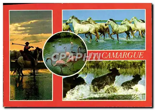 Moderne Karte La Camargue chevaux