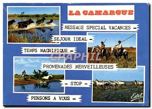 Moderne Karte Camargue Passage De Taureaux Gardians Poursuite Manade