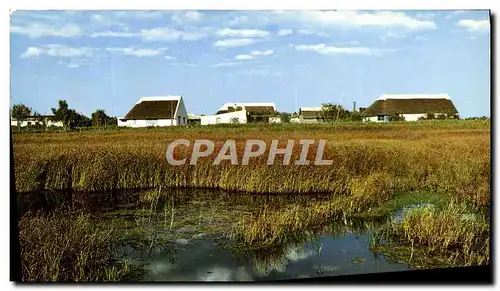 Cartes postales Camargue Pays de Chasse et d&#39Elevage