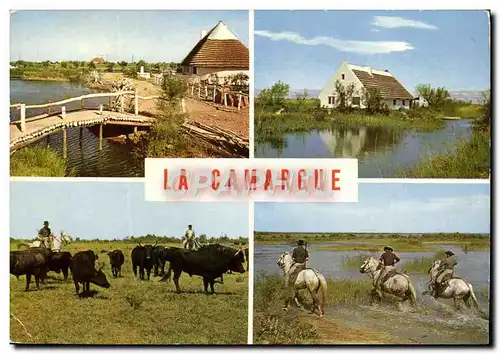 Moderne Karte Ln Camargue Chevaux Taureaux