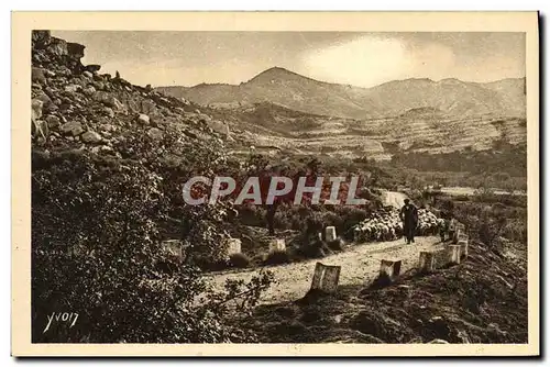 Ansichtskarte AK Paysages Et Pierres De Provence Sur la Route de Saint Remy aux Baux