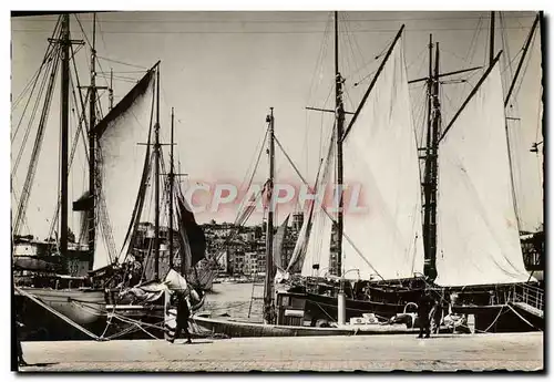 Cartes postales moderne Marseille Un Coin du Vieux Port et Notre Dame de la Garde Bateau