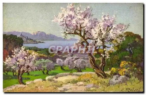 Ansichtskarte AK Amandiers en fleurs aux environs de Marseille