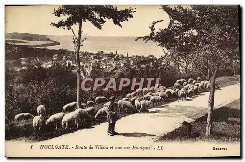 Cartes postales Houlgate Route de Villers et Vue sur Houlgate Berger et moutons