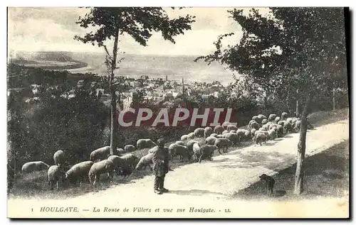 Cartes postales Houlgate La Route de Villers et Vue sur Houlgate Berger et moutons