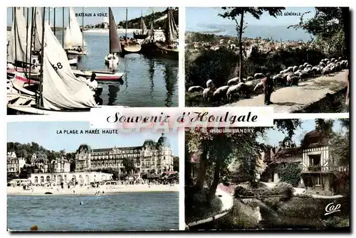 Cartes postales moderne Houlgate Bateaux a voile Vue generale Berger Moutons La plage a maree haute Le moulin Landry