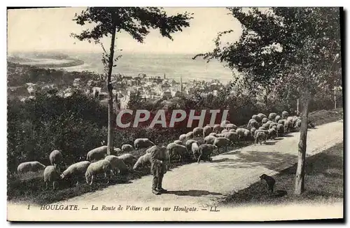 Cartes postales Houlgate La Route de Villers et Vue sur Houlgate Berger et moutons