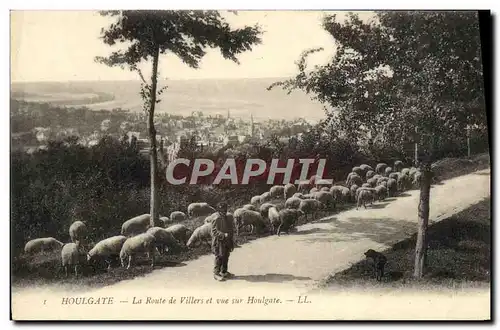 Cartes postales Houlgate La Route de Villers et Vue sur Houlgate Berger et moutons