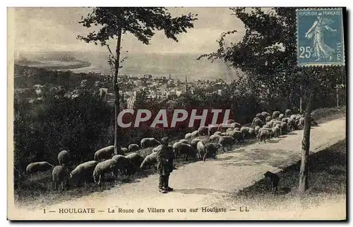 Cartes postales Houlgate La Route de Villers et Vue sur Houlgate Berger et moutons