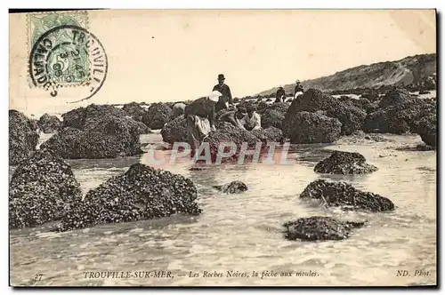 Cartes postales Trouville Sur mer Les roches noires la peche aux moules