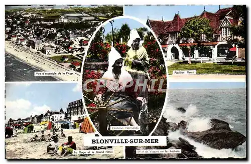 Cartes postales moderne Blonville Sur Mer Vue d&#39ensemble de la plage Pavillon fleuri La plage et le grand hotel Effet