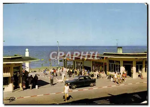 Cartes postales moderne Luc sur Mer La Descente a la Plage