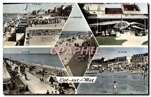 Cartes postales moderne Luc Sur Mer Baleine