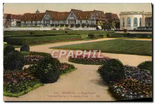 Cartes postales Deauville La plage fleurie Parterres fleuris et Normandy Hotel