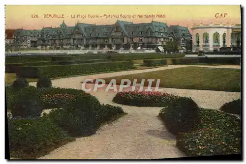 Cartes postales Deauville La plage fleurie parterres fleurie et normandy hotel