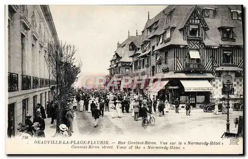 Cartes postales Deauville la plage fleurie Vue sur le Normandy Hotel