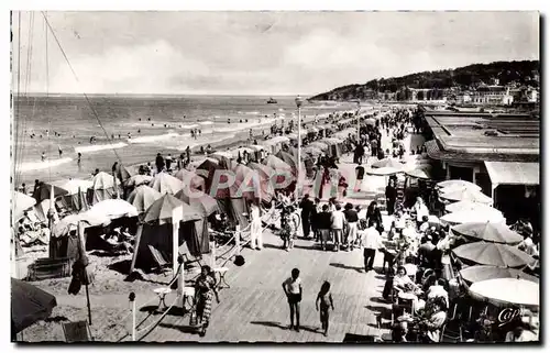 Cartes postales moderne Deauville La plage fleurie les planches et le bar du soleil