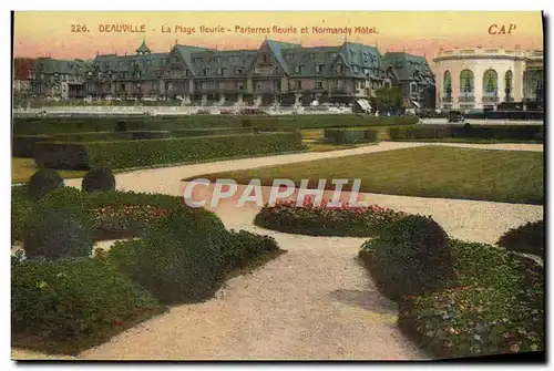 Cartes postales Deauville La Plage fleurie lparterres fleuris et normandy hotel