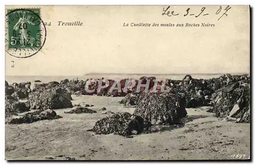 Cartes postales Trouville La Cueillette des Moules Aux Roches Noires