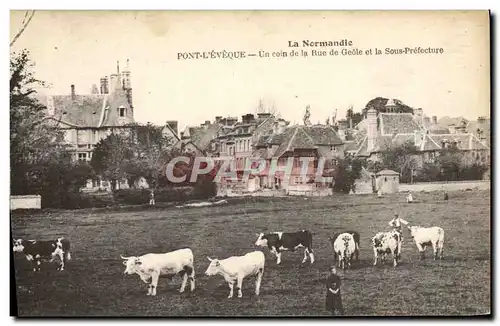 Cartes postales La normandie Pont L'Eveque un coin de la rue de geole et la Sous Prefecture Vaches