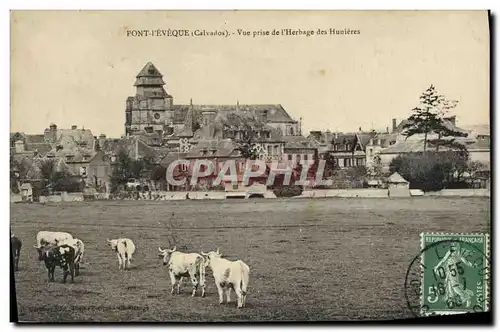 Cartes postales Pont L&#39Eveque Vue prise de l&#39herbage des Hunieres Vaches