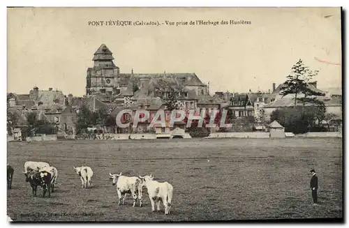 Cartes postales Pont L&#39Eveque Vue prise de l&#39herbage des Hunieres Vaches