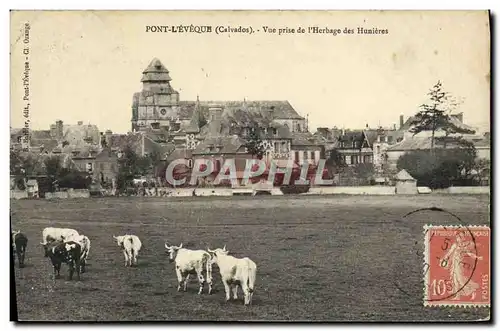 Cartes postales Pont L&#39Eveque Vue prise de l&#39herbage des Hunieres Vaches