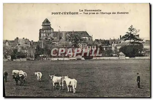 Cartes postales La Normandie Pont L'Eveque vue prise de l'herbage des Hunieres Vaches