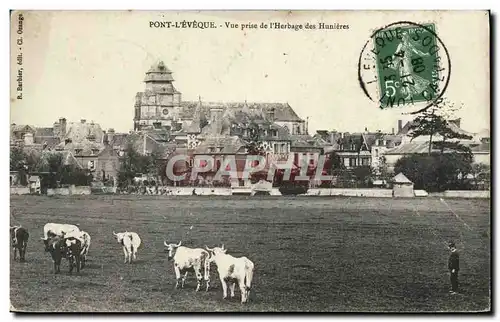 Cartes postales Pont L'Eveque vue prise de l'herbage des Hunieres Vaches
