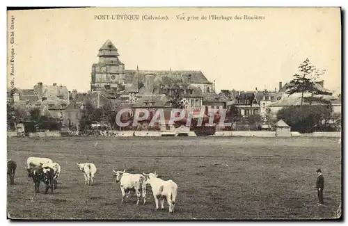 Cartes postales Pont L'Eveque vue prise de l'herbage des Hunieres Vaches