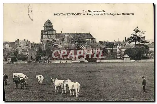 Cartes postales La Normandie Pont L'Eveque vue prise de l'herbage des Hunieres Vaches
