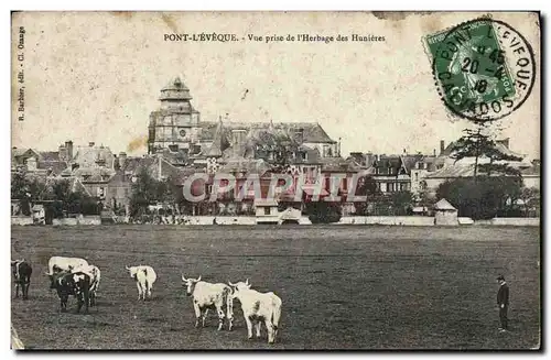 Cartes postales Pont L&#39Eveque vue prise de l&#39herbage des Hunieres Vaches