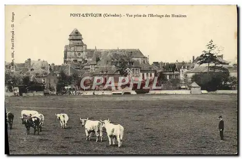 Cartes postales Pont L&#39Eveque vue prise de l&#39herbage des hunieres Vaches