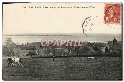 Cartes postales Sallenelles Panorama Embouchure de l&#39Orne Vache