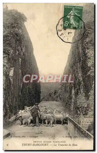 Cartes postales Thury Harcourt La Tranchee du Hom Berger Moutons