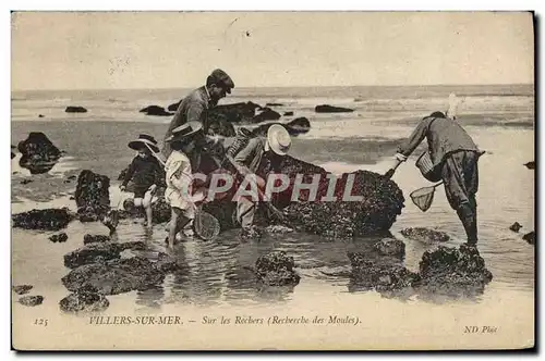 Cartes postales Villers Sur Mer Sur les Rochers Recherche des moules