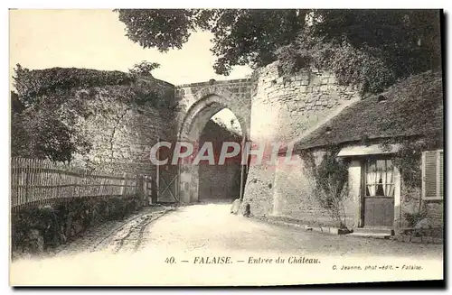 Cartes postales Falaise Entree du Chateau