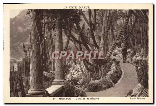 Cartes postales Monaco Jardins Exotiques