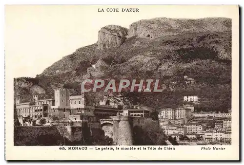 Cartes postales Monaco Le palais la montee et la tete de chien