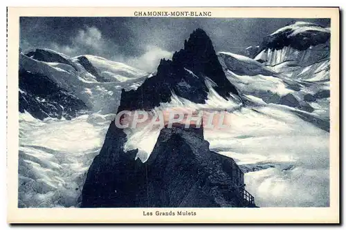 Cartes postales Chamonix Mont Blanc Les grands mulets