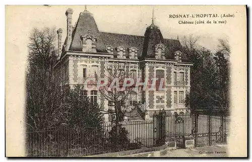 Cartes postales Rosnay l&#39Hopital Parc Chateau