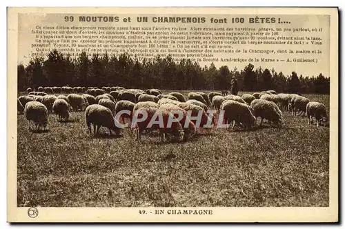 Ansichtskarte AK Moutons et un Champenois font Betes Champagne