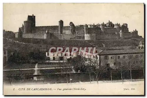 Cartes postales Cite De Carcassonne Vue generale