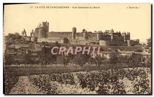 Cartes postales La Cite De Carcassonne vue generale du nord