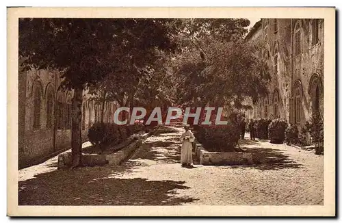 Cartes postales Saint Michel De Frigolet Les Allees de l&#39Abbaye Pleines De lumieres et d&#39ombre