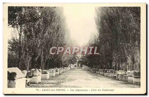 Ansichtskarte AK Arles Sur Rhone Les Alyscamps Allee Des Tombeaux