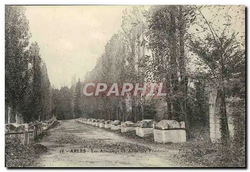 Ansichtskarte AK Arles Les Aliscamps L&#39Allee Des Tombeaux